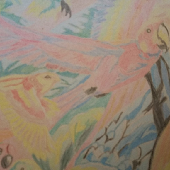 Original Parrots Birds colored pencil Drawing - Picture 8 of 8